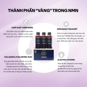 Nước Uống NMN 10000 Koja Hàn Quốc (Combo 3 Hộp) - Hỗ Trợ Sức Khỏe & Làm Đẹp Da