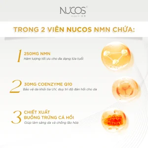 Viên Uống Nucos NMN Nhật Bản (Hộp 60 Viên) - Hỗ Trợ Chống Lão Hóa, Làm Đẹp Da