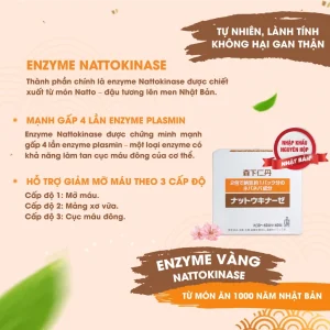 Nattokinase Jintan Nhật Bản (Hộp 60 Gói) - Hỗ Trợ Hoạt Huyết, Giảm Nguy Cơ Cục Máu Đông