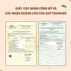 Nattokinase Jintan Nhật Bản (Hộp 60 Gói) - Hỗ Trợ Hoạt Huyết, Giảm Nguy Cơ Cục Máu Đông