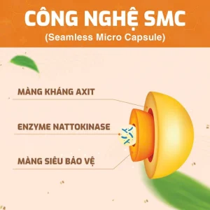 Nattokinase Jintan Nhật Bản (Hộp 60 Gói) - Hỗ Trợ Hoạt Huyết, Giảm Nguy Cơ Cục Máu Đông