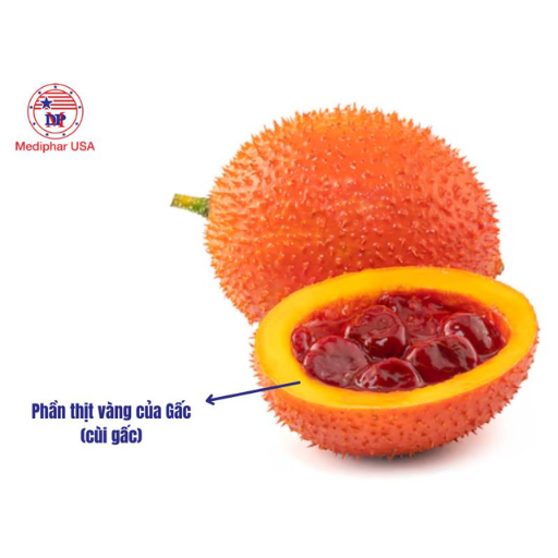 Phần thịt vàng của quả gấc dùng để làm gì 1